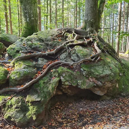 Zur Schonen Aussicht Freyung-grafenau Freyung