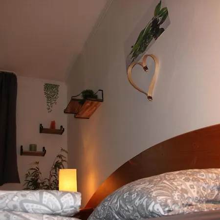 Lejlighed Zur Schonen Aussicht Freyung-grafenau Freyung